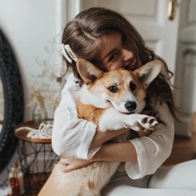 Pets