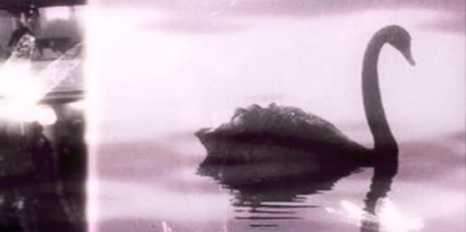 Profile cover
