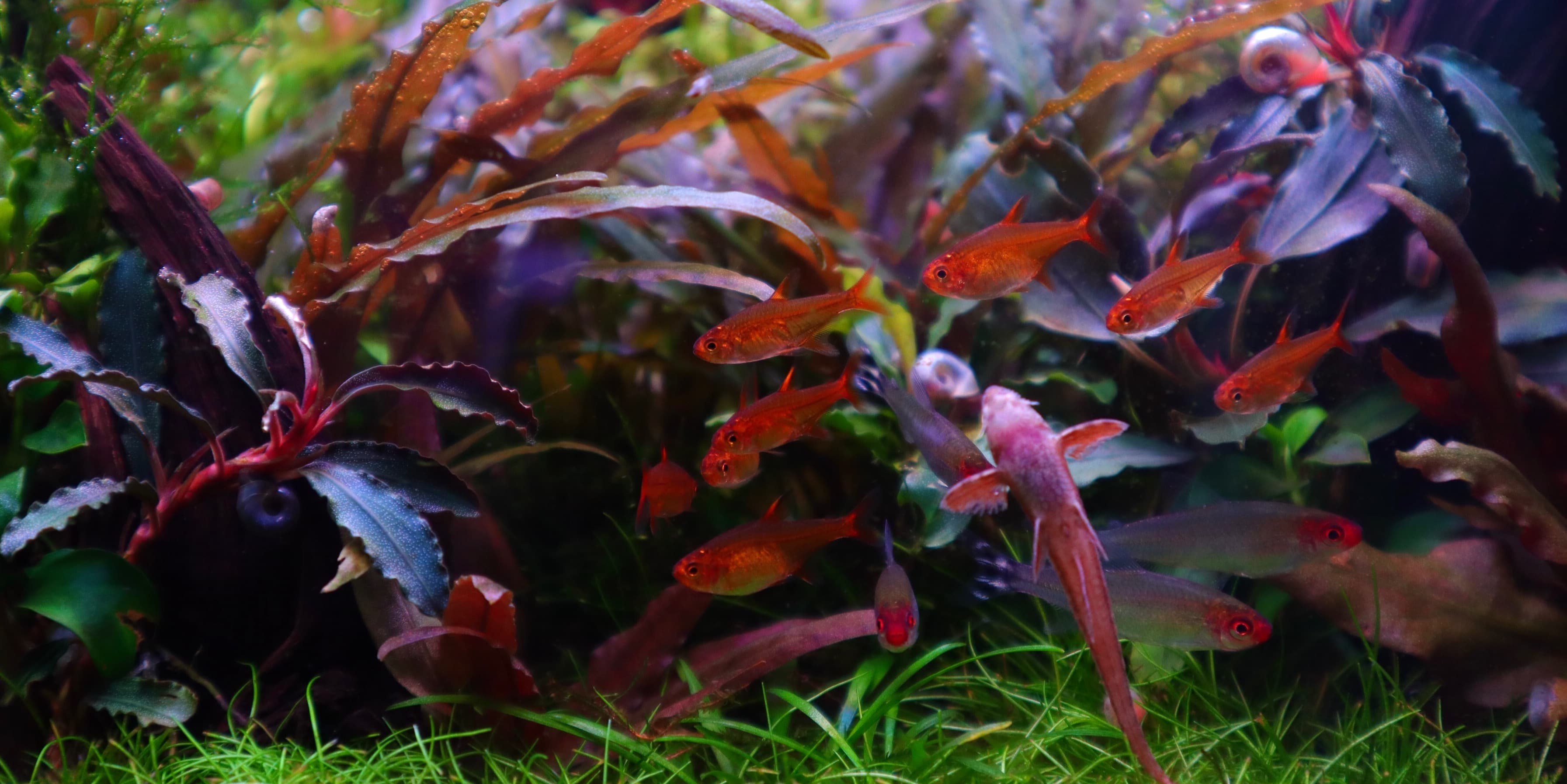 Profile cover