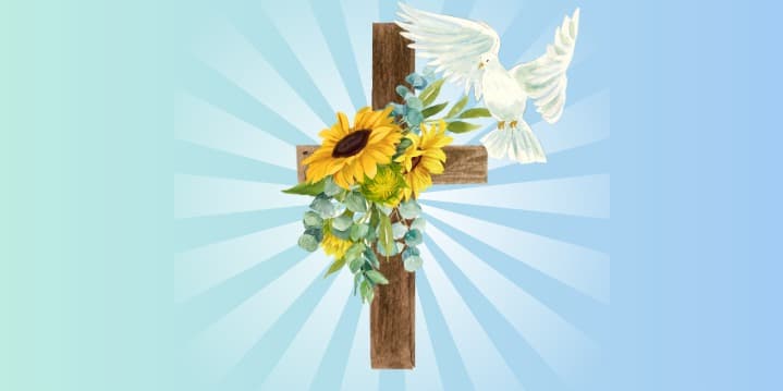 Profile cover