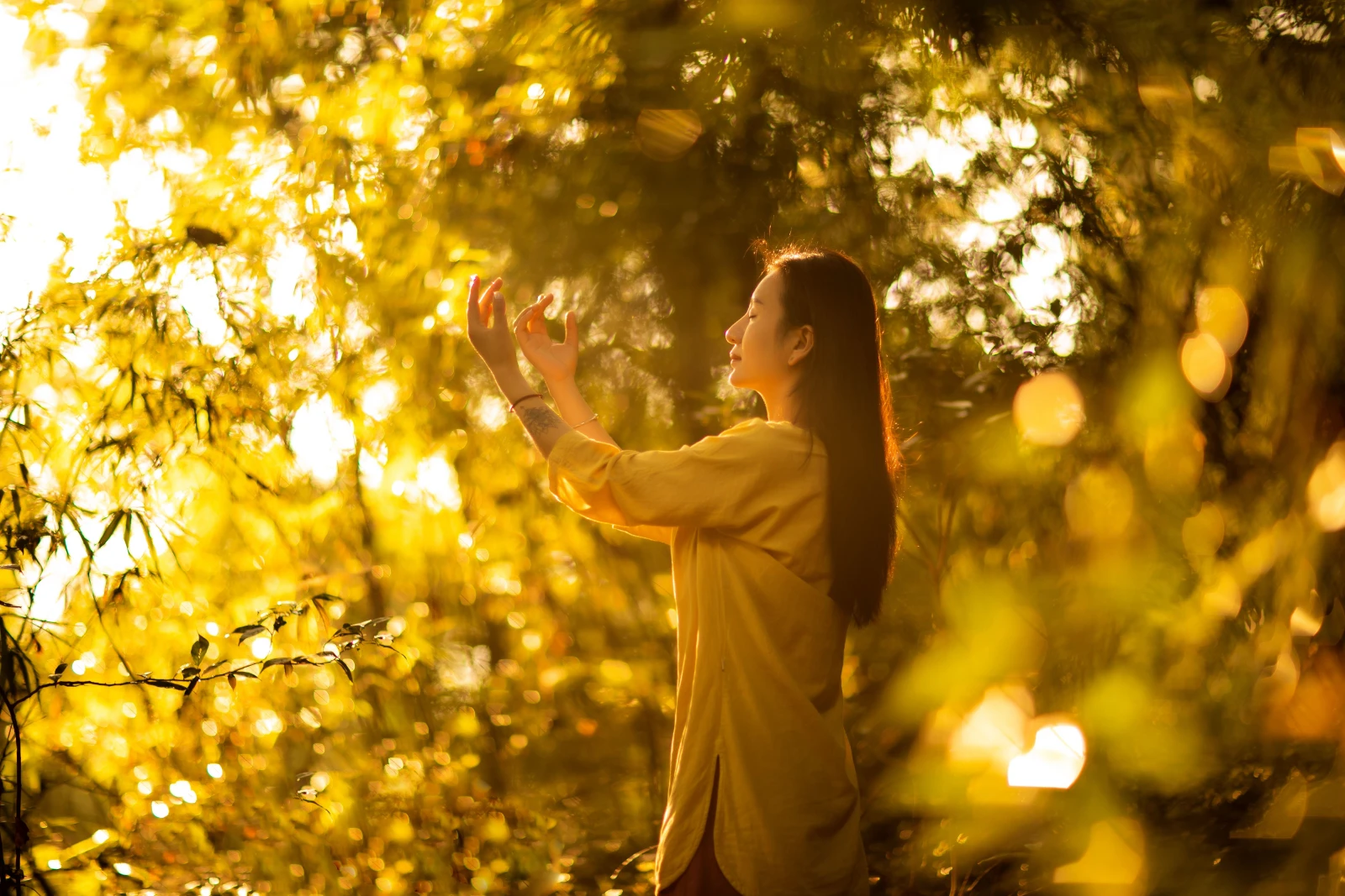 Energy Healing - book online with Bookme