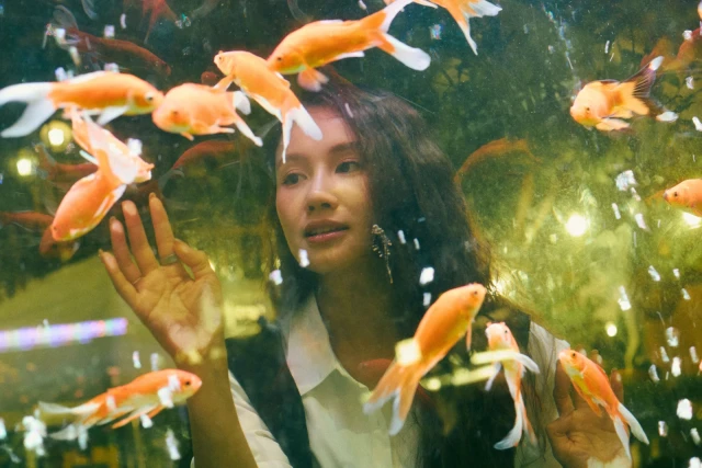 Aquarium Care - book online with Bookme